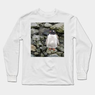 Gentoo penguin chick Long Sleeve T-Shirt